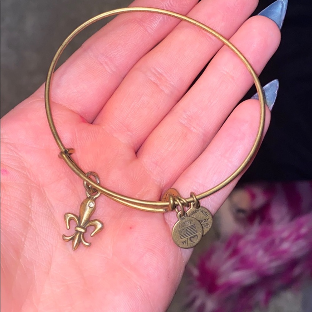 alex and ani charm bracelet